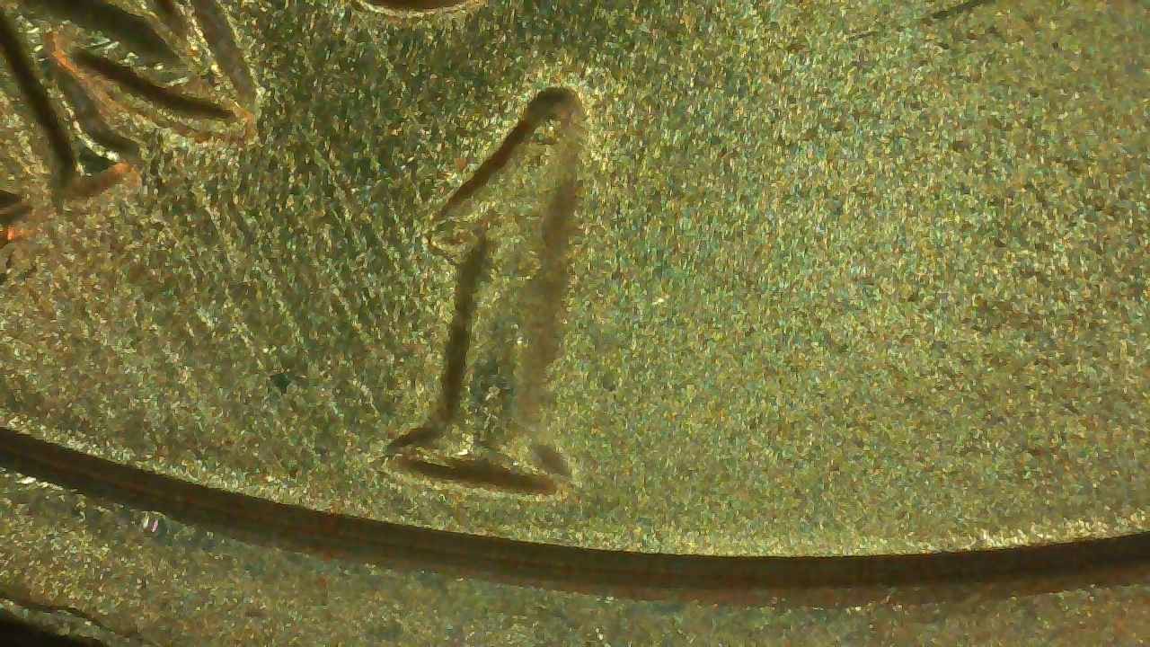 Need-Help-Identifying-A-1971-D-50c-DDO